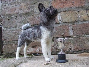 Proud dog stood by trophy